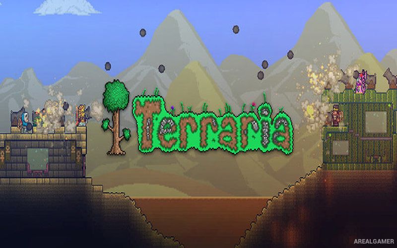 Terraria Cover Art
