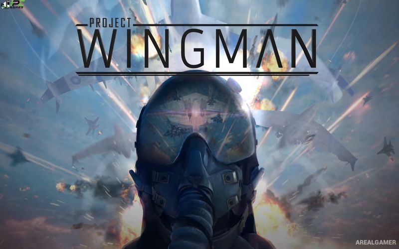 Project Wingman Cover Art