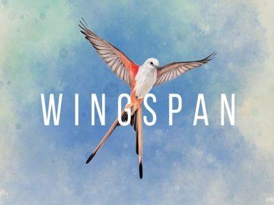 Wingspan