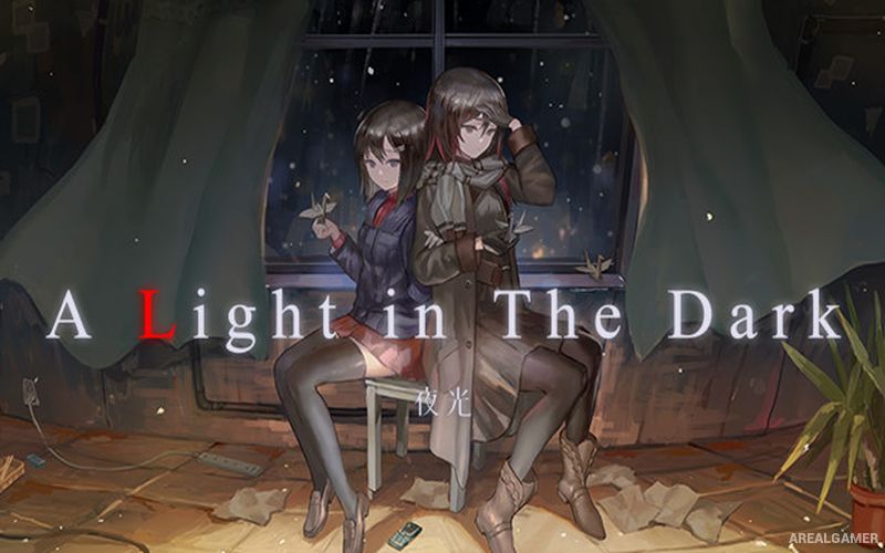 A Light in the Dark Cover Art