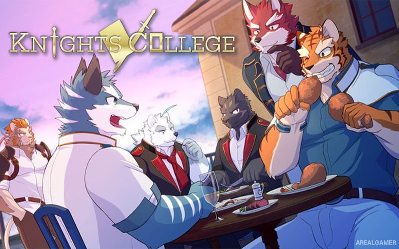 Knights College Cover Art
