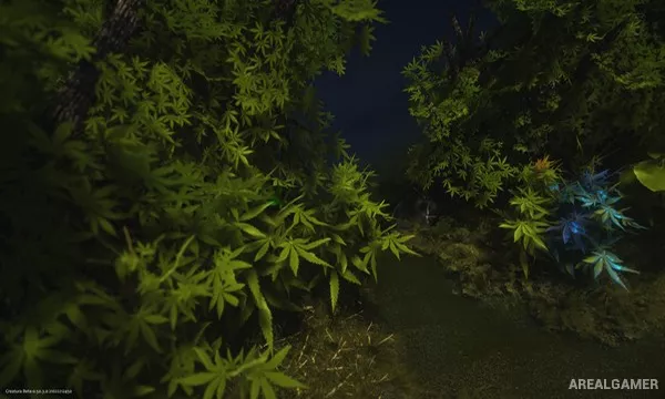 Creatura Screenshot 1