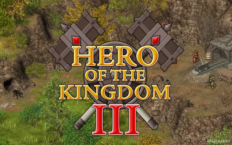 Hero of the Kingdom 3 Cover Art
