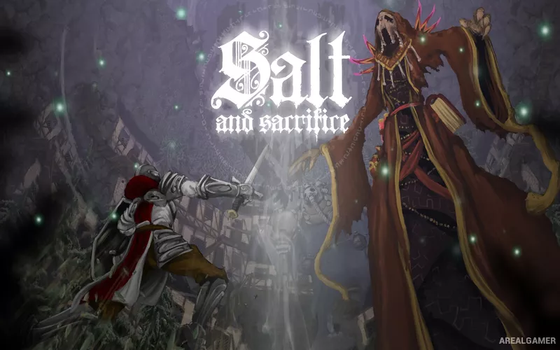 Salt and Sacrifice Cover Art