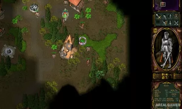 Rage of Mages II: Necromancer Screenshot 2