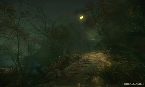 The Cursed Forest Screenshot 1