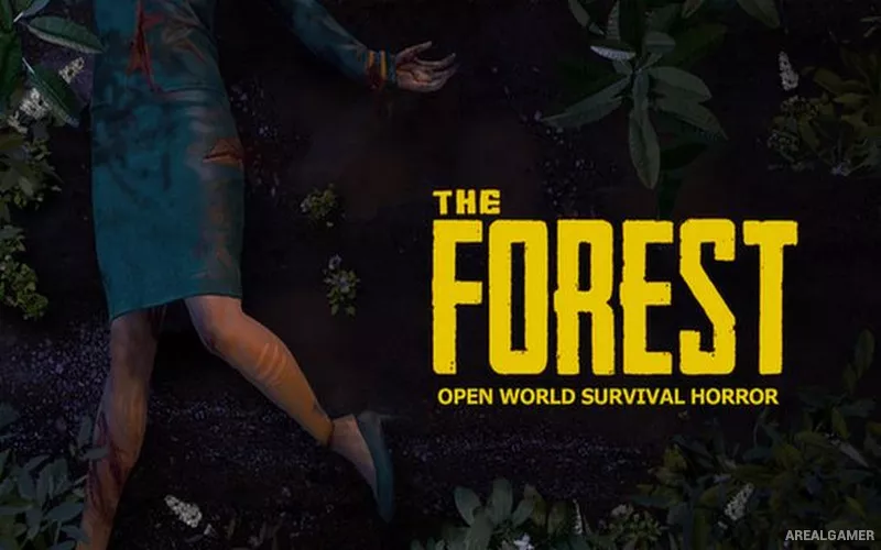 The Forest Cover Art