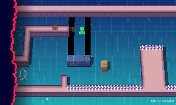 Toodee and Topdee Screenshot 3