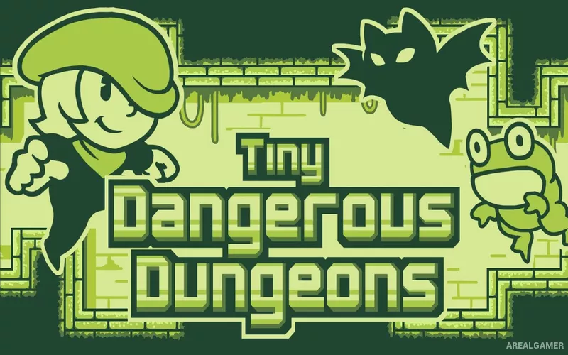 Tiny Dangerous Dungeons Cover Art