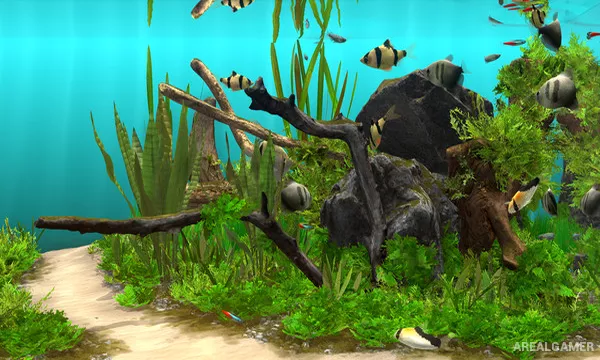 Behind Glass: Aquarium Simulator Screenshot 3