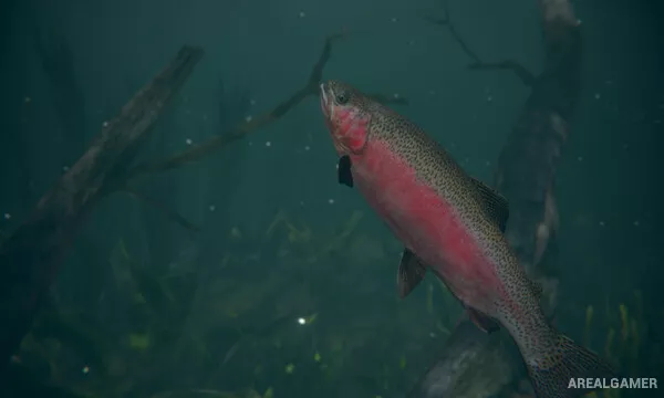 Ultimate Fishing Simulator 2 Screenshot 1