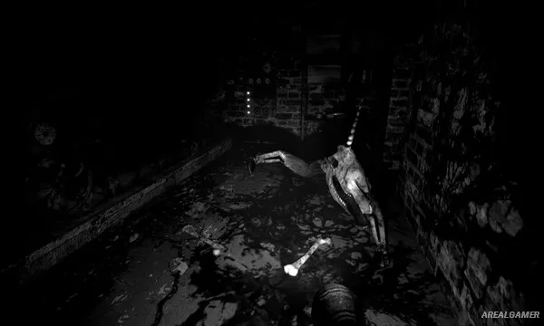 The Pony Factory Screenshot 2