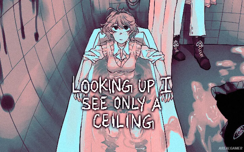 Looking Up I See Only A Ceiling Cover Art
