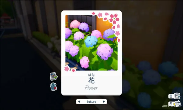 Shashingo: Learn Japanese with Photography Screenshot 3