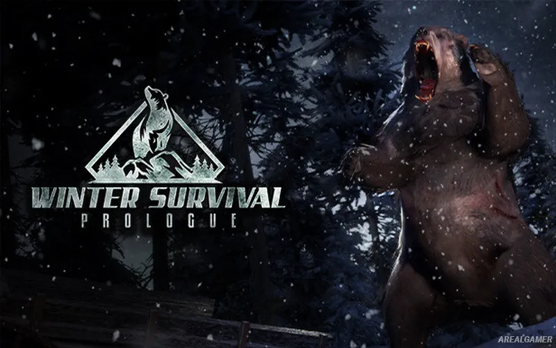 Winter Survival Cover Art