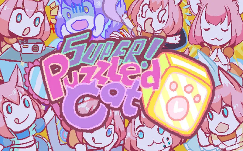 Super Puzzled Cat Cover Art