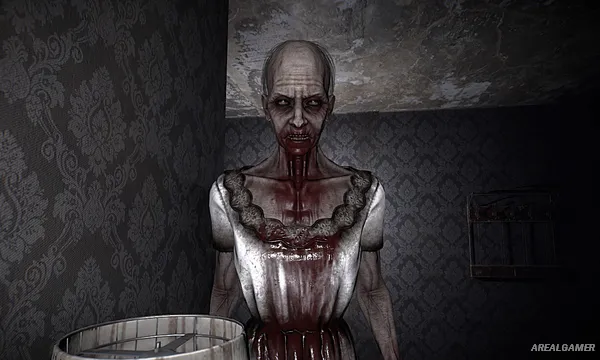 The Maid Screenshot 3