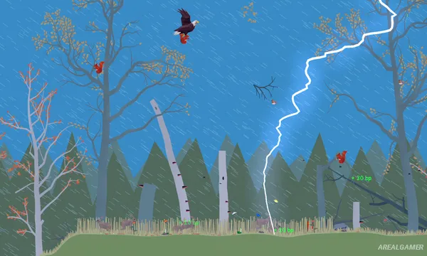 PolyPine Screenshot 1