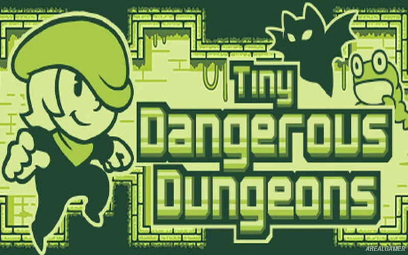 Tiny Dangerous Dungeons Remake Cover Art