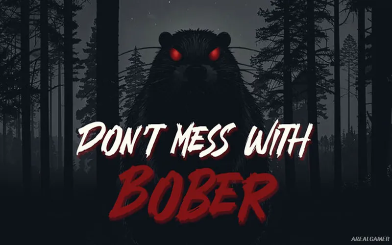 Don't Mess With Bober Cover Art
