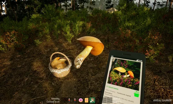 Mushroom Season Screenshot 2