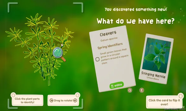 Out and About Screenshot 2
