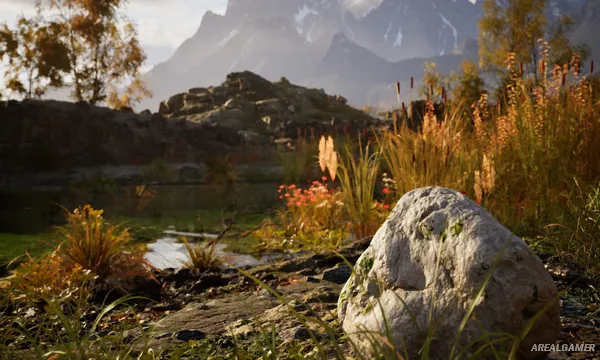 Stone Simulator – Just Be a Rock Screenshot 3