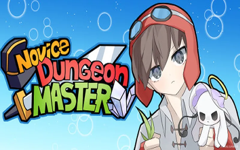 Novice Dungeon Master Cover Art