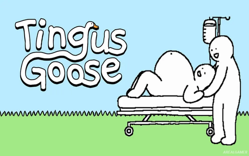 Tingus Goose Cover Art