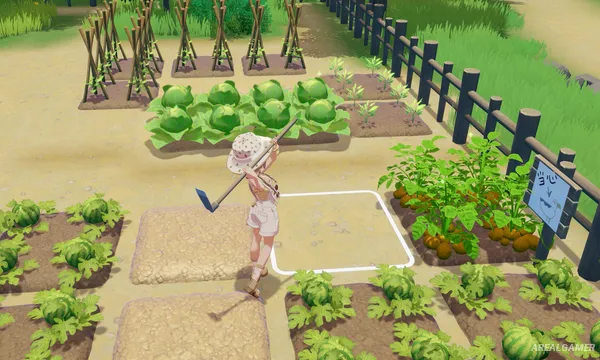 Starsand Island Screenshot 1